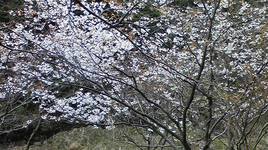 090325_082916