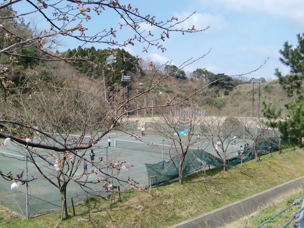 pict0001