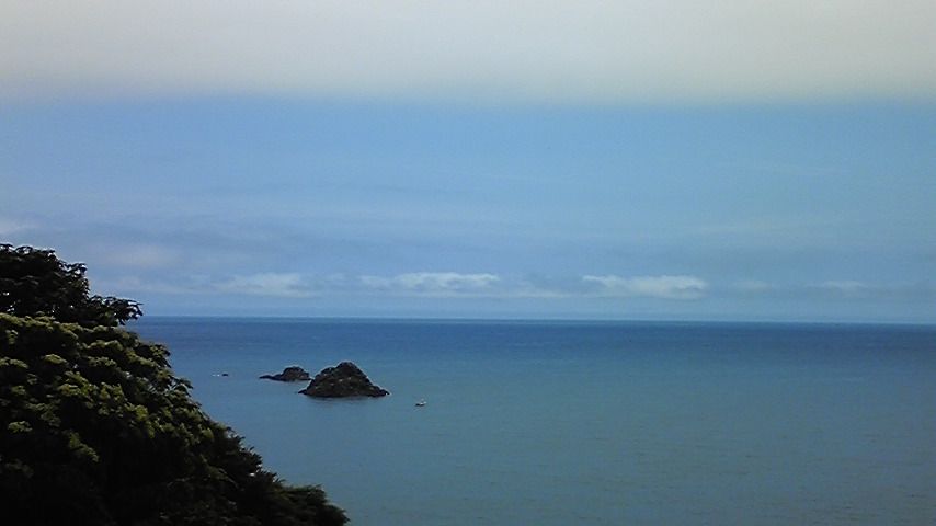 090808_131000 090808_131000