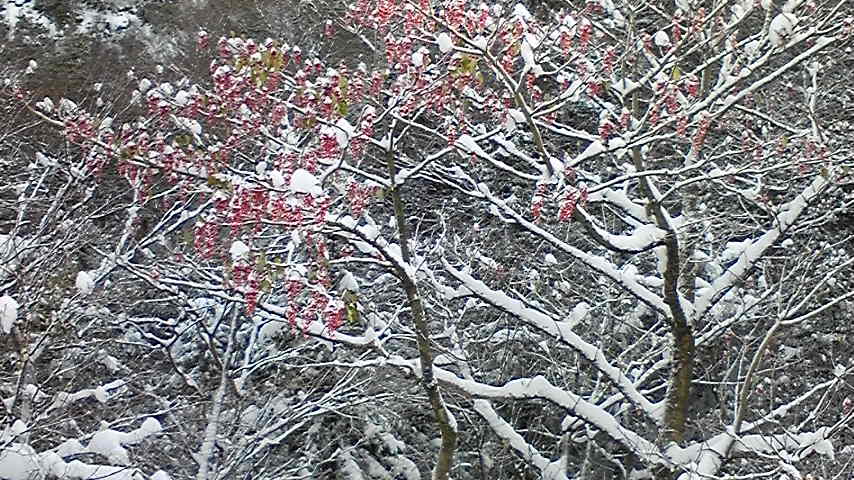 091219_082917 091219_082917
