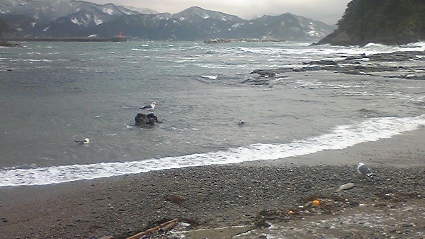 100107_083547 100107_083547
