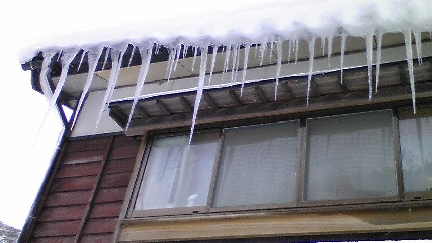 100115_081509 100115_081509