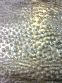 100128_1002022 100128_1002022