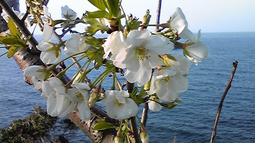 100404_170127 100404_170127