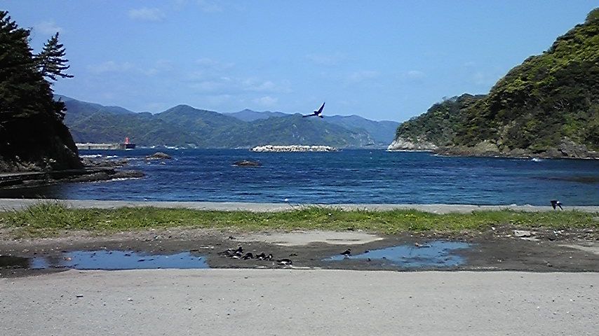 100429_083520 100429_083520