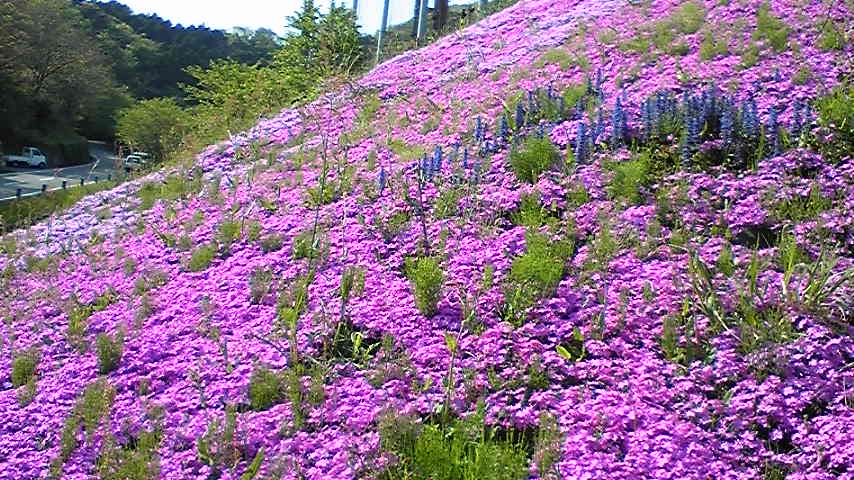 100502_083402 100502_083402