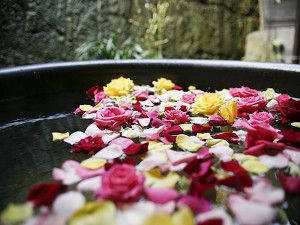 _mg_00010001 _mg_00010001
