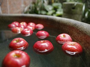 _mg_00270006 _mg_00270006