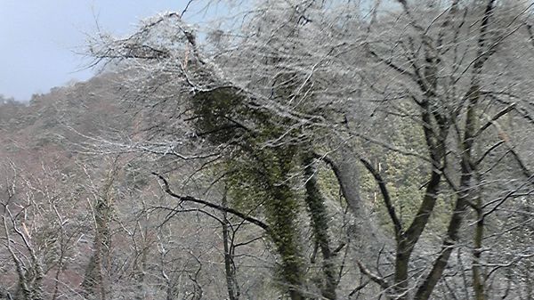 110316_160509 110316_160509