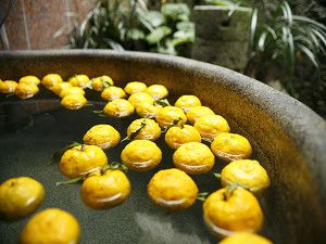 _mg_00380008 _mg_00380008