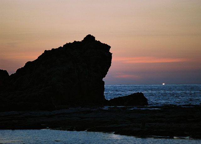 かえる島001