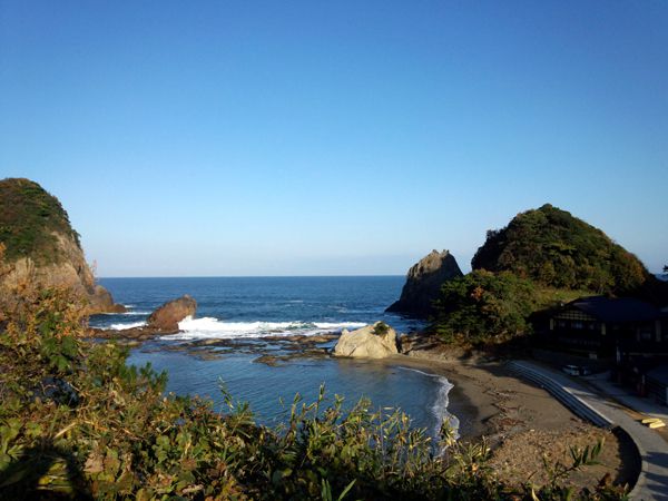 11月19日撮影(縮小)