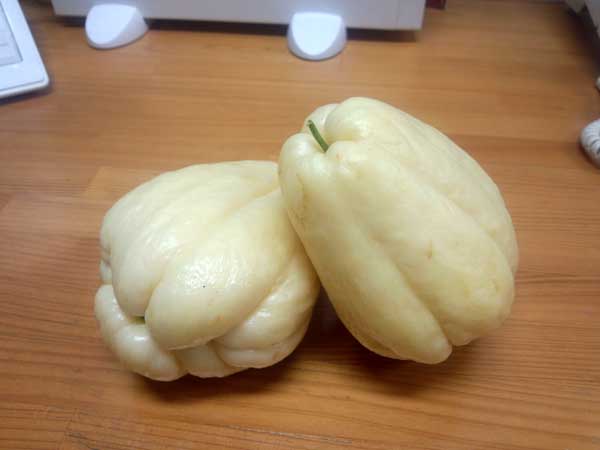 はやとうり