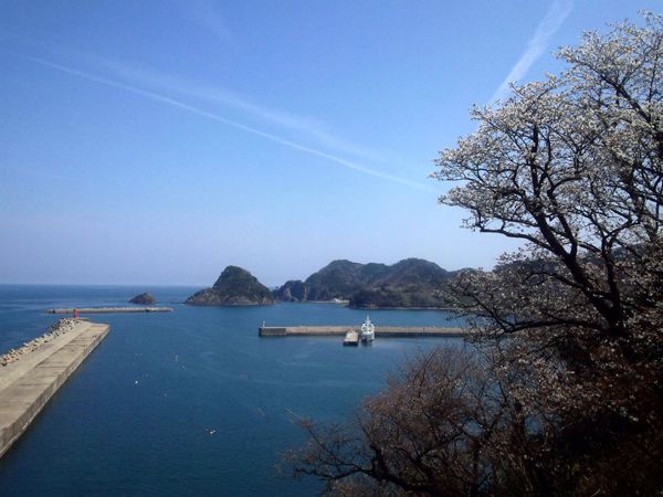 4月4日岡見公園より