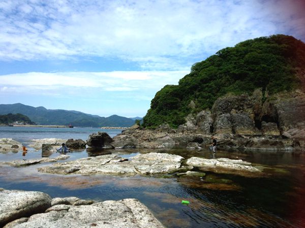 もずく採り