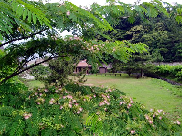 ねむの花