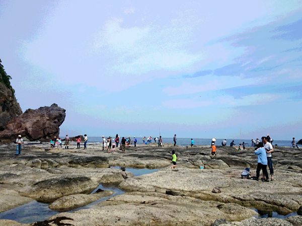 DSC_1056 (2)