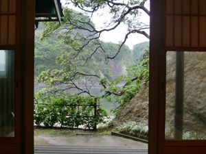 特室からの風景(トベラの開花時)