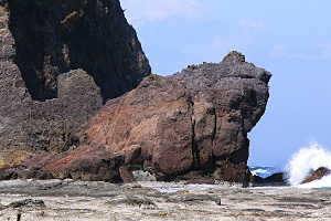 蛙 島